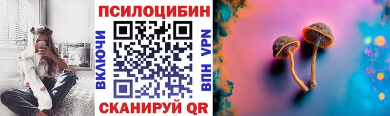 Галлюциногенные грибы Psilocybe  Яровое 